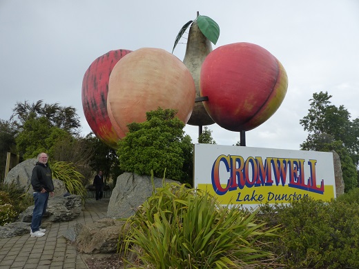 Randall and Andrew with the giant fruit of Cromwell, Nov 2015